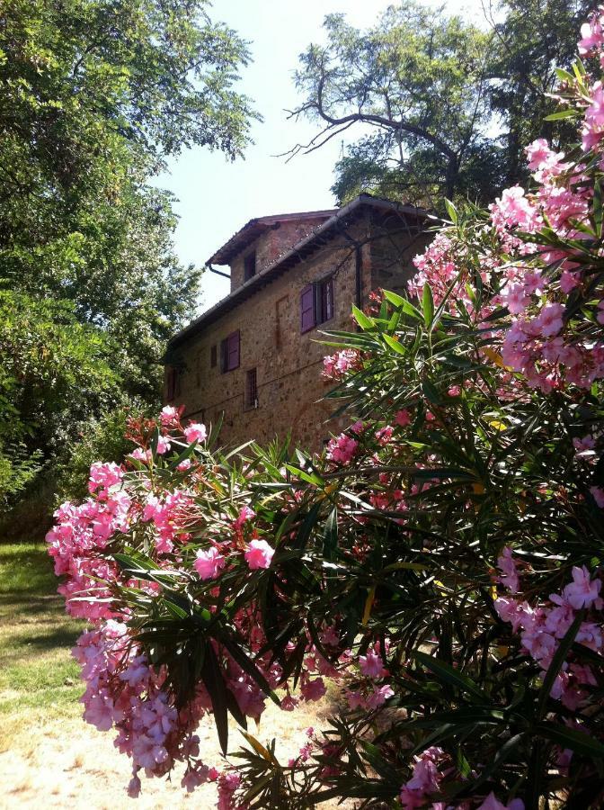 Farmhouse B&B Il Paretaio Barberino Val d'Elsa Екстер'єр фото